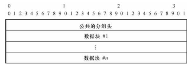  SCTP分组的格式及参数