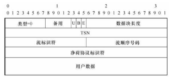 净荷数据DATA数据块的格式